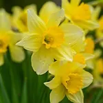 Spacious House With Terrace Near The