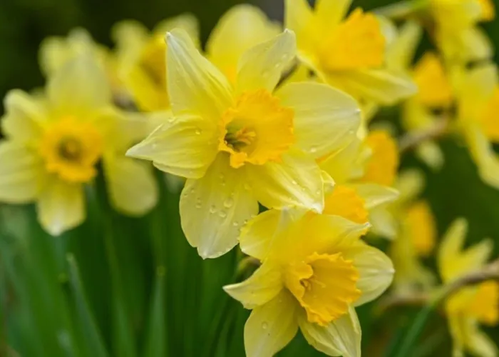 Spacious House With Terrace Near The